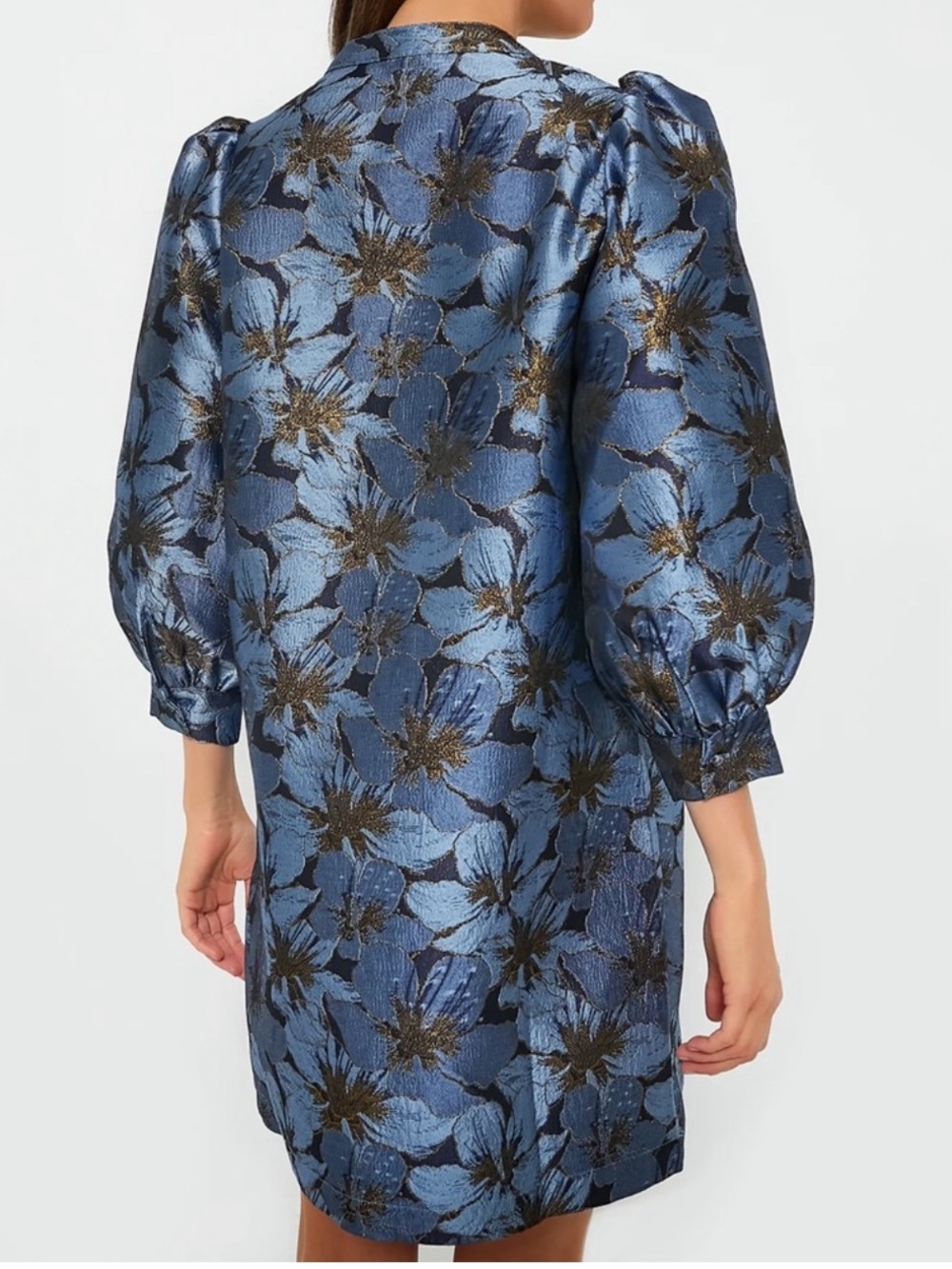 Pomander Place Blue Blossom Jacquard Samantha
Dress
AH2 - Picture 3 of 8